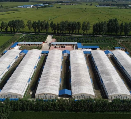 臺安匯君生物質(zhì)能源有限公司